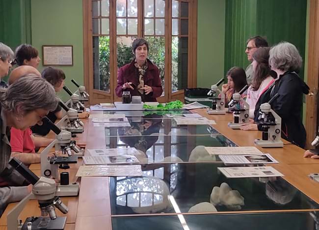 Participants al Centre de Documentació del Montseny – Secció Ciències Naturals (Granollers). Autor: Museu de Ciències Naturals de Granollers