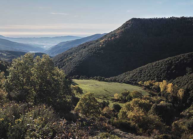 Fotografia del Parc Natural del Montseny que forma part de l'exposició. Autoria: Oriol Clavera