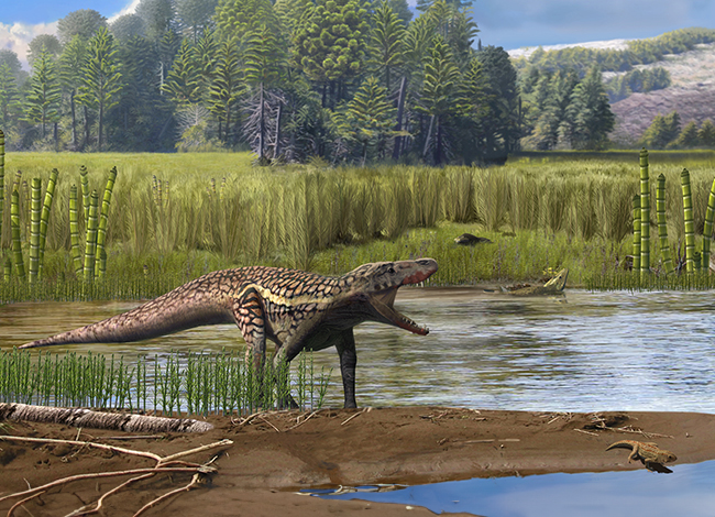 Recreació paleoambiental del jaciment de La Mora a l’àrea del Montseny fa uns 242 milions d’anys. En primer pla, un gran arcosauromorf. A la cantonada inferior dreta es mostra el procolofònid Kapes signus. Al fons, una parella de capitosaures. Autor: Oscar Sanisidro / ICP-CERCA