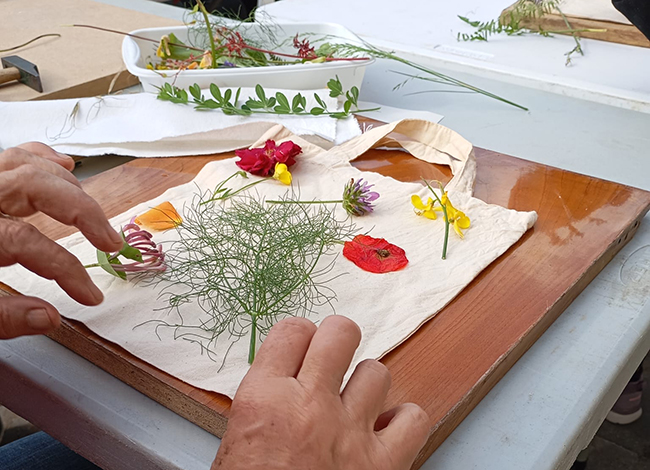 Taller d'estampació al Museu Etnològic del Montseny. Autoria: MEGMA