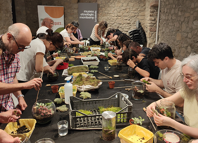 Taller de com realitzar un terrari al Centre de documentació del Montseny - Secció Humanitats. Autoria: MEGMA