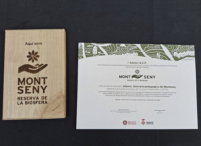 Els distintius, un bloc de fusta de castanyer i un diploma. Autor: XPN