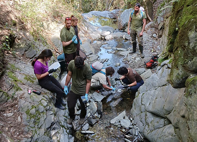 Treball conjunt de diverses entitats en un torrent del Montseny. © XPN
