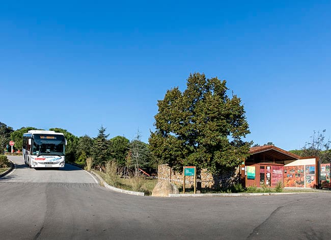 El Bus Parc arribant al Punt d'Informació de Fogars. Autor: Ricard Badia