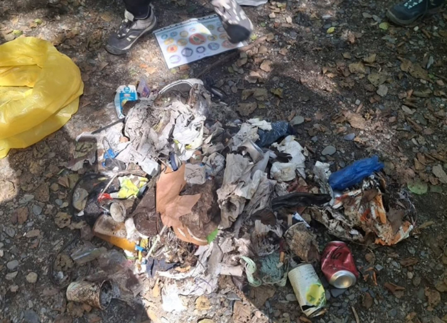 Brossa que es va recollir durant una de les matinals. Autor: Turisme Montseny