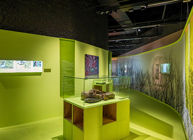 La maqueta del tritó en el context de l'exposició
