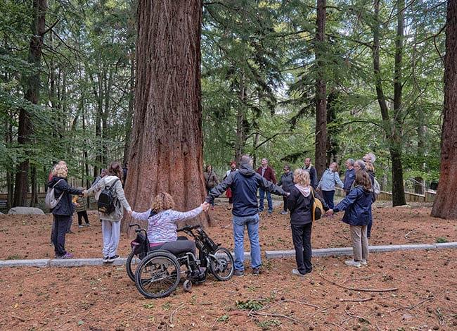 Activitat a Santa Fe de Montseny. Autor: Oriol Clavera / Diputació de Barcelona