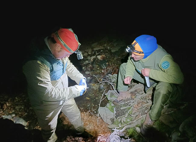 Seguiment nocturn del tritó del Montseny. © XPN