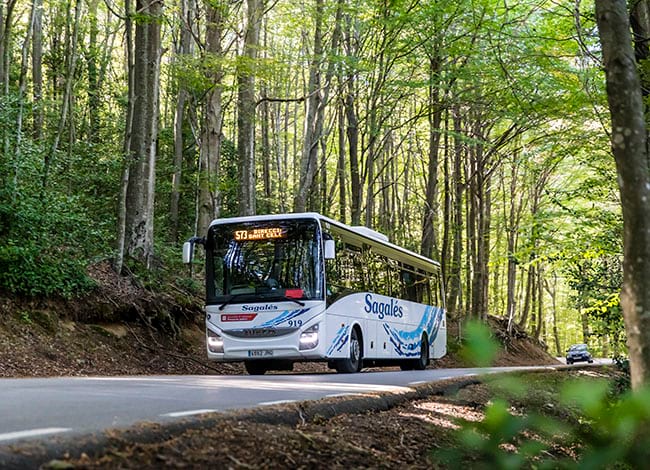 Bus Parc a Santa Fe. Autor: Ricard Badia