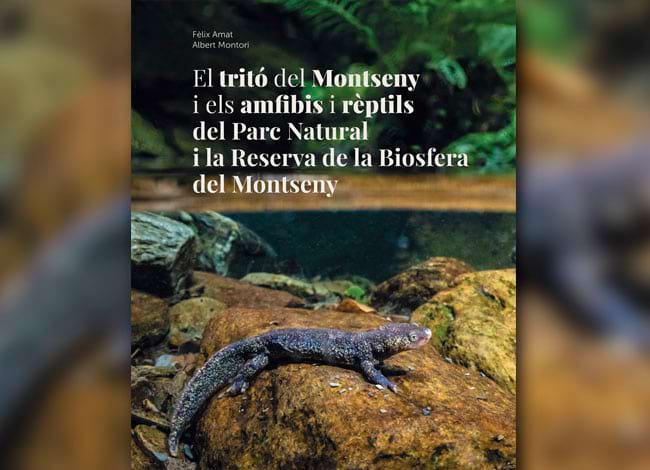 Portada del volum. Autor: MCNG