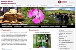 Pàgina d'inici de la nova web. Autor: XPN