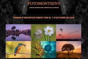 Detall del cartell. Autor: FotoMontseny2018