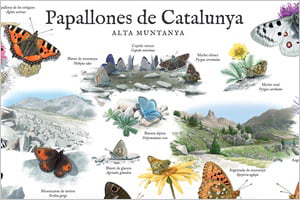 Detall del pòster. Autor: Museu CN Granollers