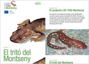 Detall del fullet. Autor: LifeTritóMontseny