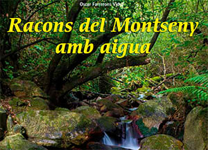 Detall de la portada. Autor: A. Corella / Farell Edicions