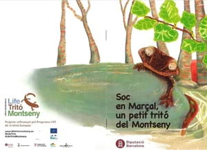 Portada del conte. Autora: Irene Jiménez