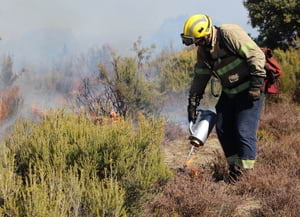 Crema prescrita. Autor: Lluís Martínez / XPN