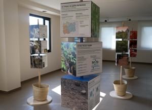 Detall de l'exposició. Autor: XPN