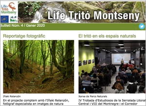 Capçalera del 4t butlletí. Autor: Life Tritó Montseny