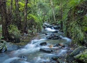 Torrent del Montseny. Autor: Iñaki Relanzón