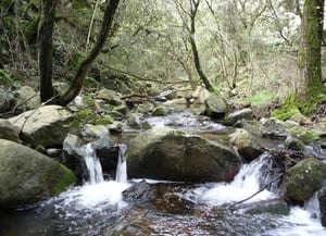 Riera de l'Avencó. Autor: Diputació de Barcelona