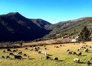 Ramat al Montseny. Autor: XPN