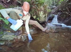 Alliberament de tritons del Montseny.<br />Autor: Life Tritó Montseny