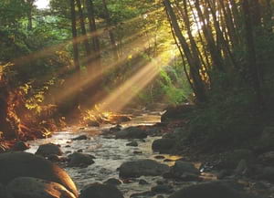 Paisatge del Montseny. Autor: MEMGA