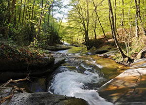 Riera del Montseny. Autor: AETM