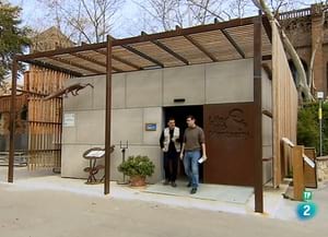 Instant del reportatge. Autor: Escarabajo Verde