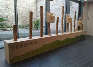 Exposició de materials complementaris de la mostra.<br />Autor: Museu de Ciències Naturals de Granollers