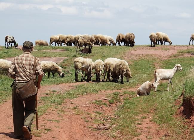 La Reserva de la Biosfera del Montseny, un del territoris del Life Clinomics. Autor: Jordi Villaronga
