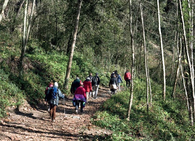 Les passejades guiades es fan tots els diumenges de l'any.<br />Autor: Hugo Loriente