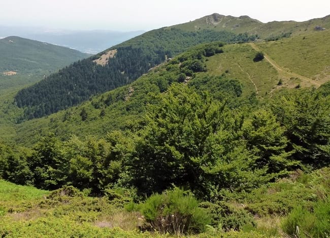 Paisatge al Parc Natural del Montseny. Autor: XPN