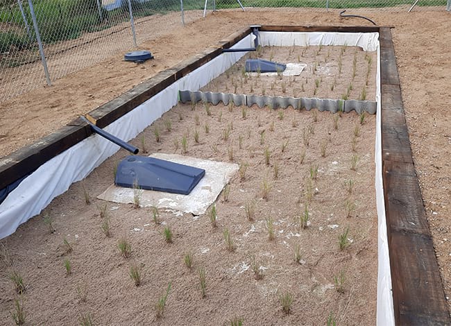 El nou filtre verd. Autor: XPN