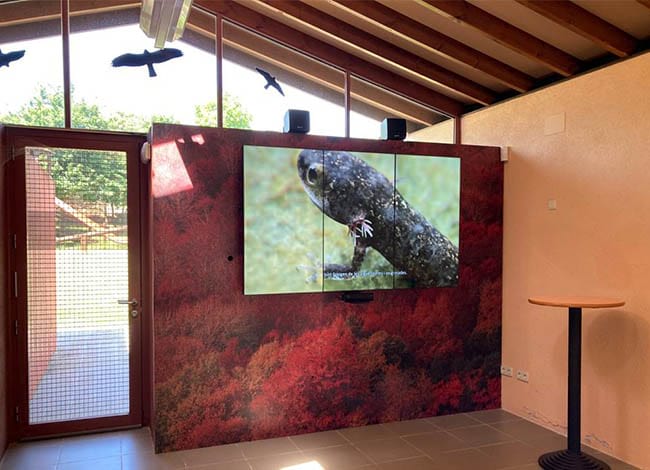 Els audiovisuals sobre el tritó, al Centre d'Informació de Fogars de Montclús. Autor: XPN