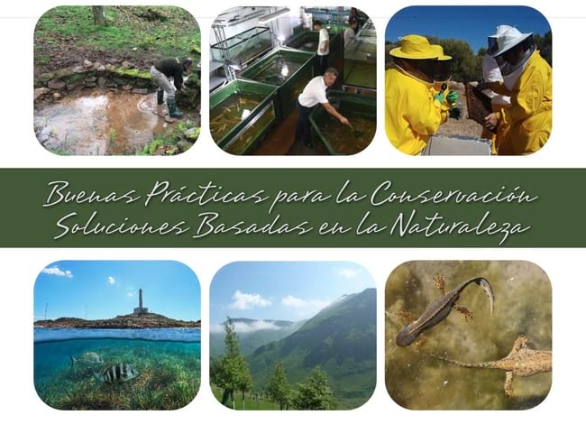 Detall de la portada del manual.<br />Autor: UICN