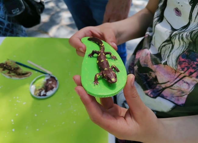 Un dels tritons de guix elaborats durant el taller. Autor: Ademc