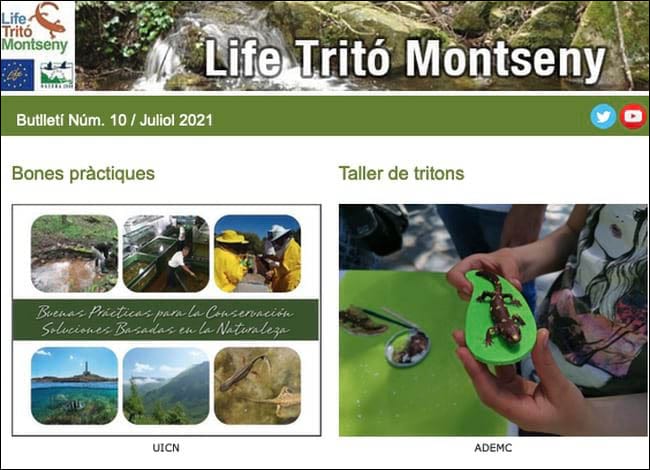 Detall del 10è butlletí de notícies. Autor: Life Tritó Montseny