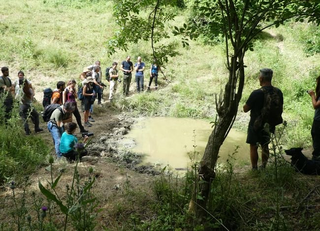Visita tècnica al Parc Nacional. Autor: Life Tritó Montseny