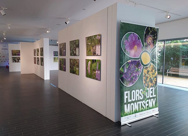 La mostra, al Museu de Ciències Naturals de Granollers. Autor: MCNG