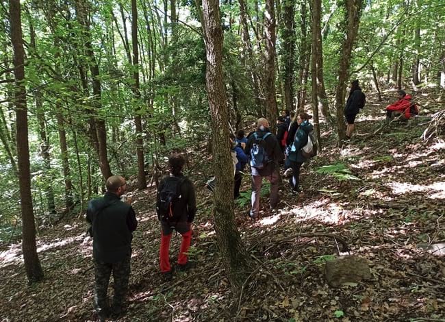 Participants durant la revisió de les caixes niu. Autora: Lídia Freixas / Museu de Ciències Naturals de Granollers