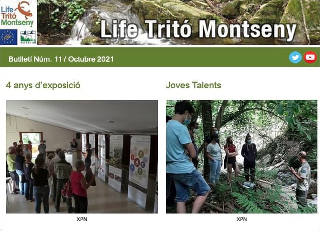 Capçalera de l'11è butlletí. Autor: Life Tritó Montseny