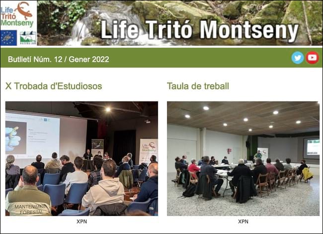 Capçalera del 12è butlletí. Autor: Life Tritó Montseny