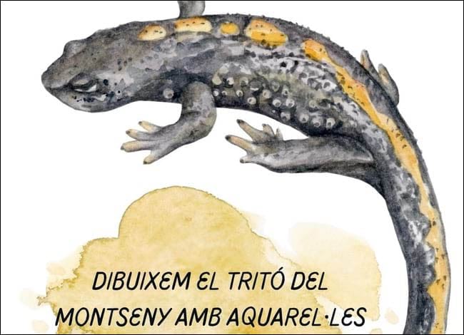 Detall del cartell del taller. Autor: MCNG