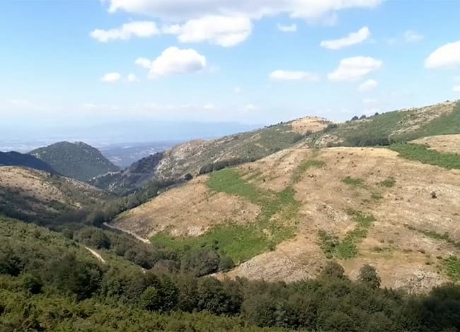 Ordenació forestal al Matagalls, una de les experiències inspiradores de l'Anuari. Autor: Diputació de Girona