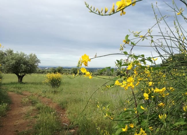 L'entorn rural i forestal de la Garriga, protagonista d'una ruta. Autor: Turisme Montseny
