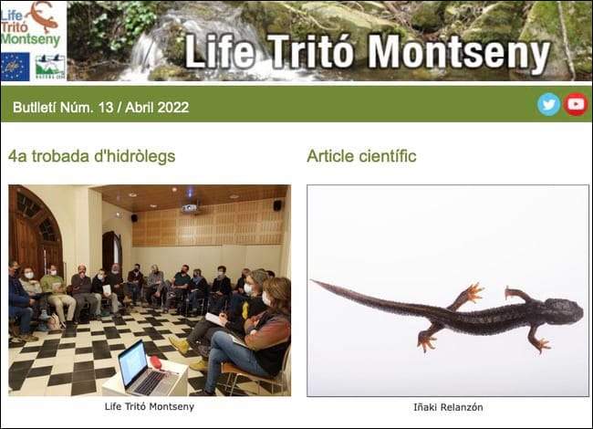 Detall del darrer butlletí, corresponent al número 13. Abril del 2022. Autor: Life Tritó Montseny