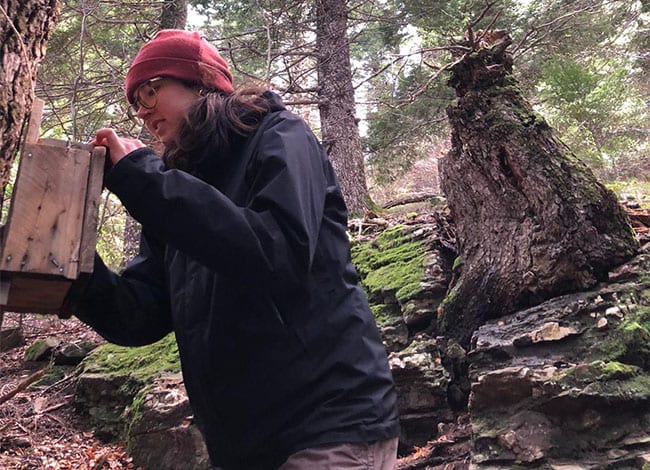 Seguiment de caixes niu. Autor: Institut Català d’Ornitologia (ICO)