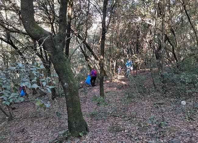 Neteja de la riba de la Tordera, el 2021. Autor: Turisme Montseny